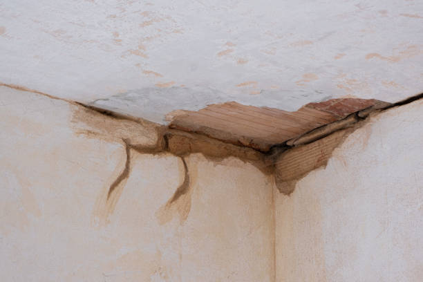 Best Local water damage restoration  in Twin Lakes, VA