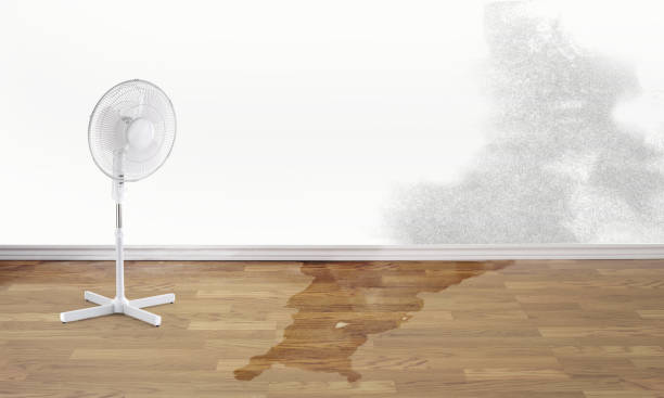 Best Basement water damage restoration  in Twin Lakes, VA