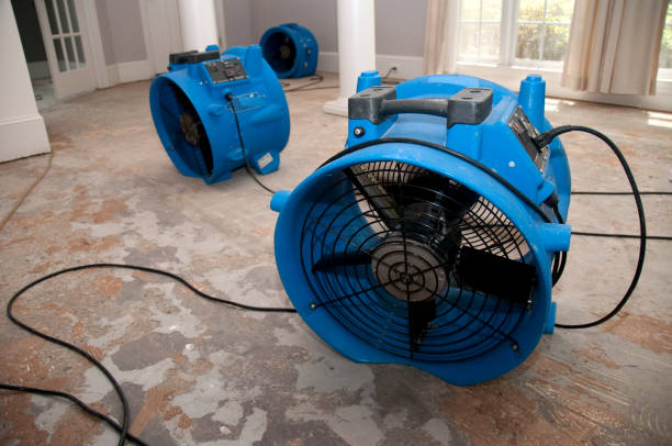 Best Fire Damage Restoration  in Twin Lakes, VA