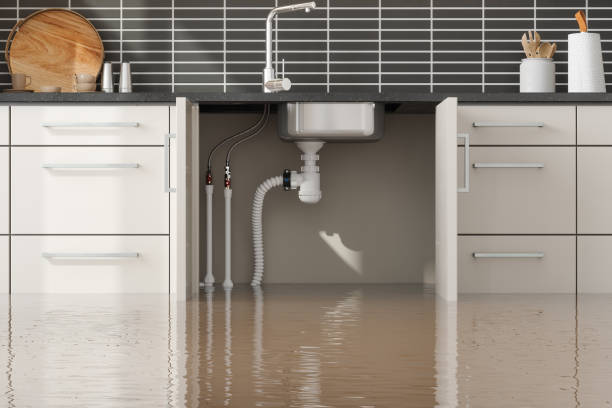 Best Carpet water damage restoration  in Twin Lakes, VA