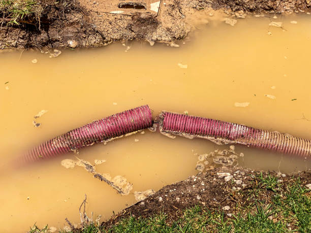 Best Commercial water damage restoration  in Twin Lakes, VA